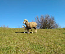 Load image into Gallery viewer, Experience "how a thread is born"