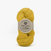 Carica l'immagine nel visualizzatore di Gallery, Filato Agreste Classico 170mt/100g colorato