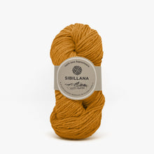 Load image into Gallery viewer, Agreste Abundant yarn 115m/100g colored
