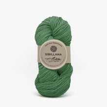 Load image into Gallery viewer, Agreste Abundant yarn 115m/100g colored

